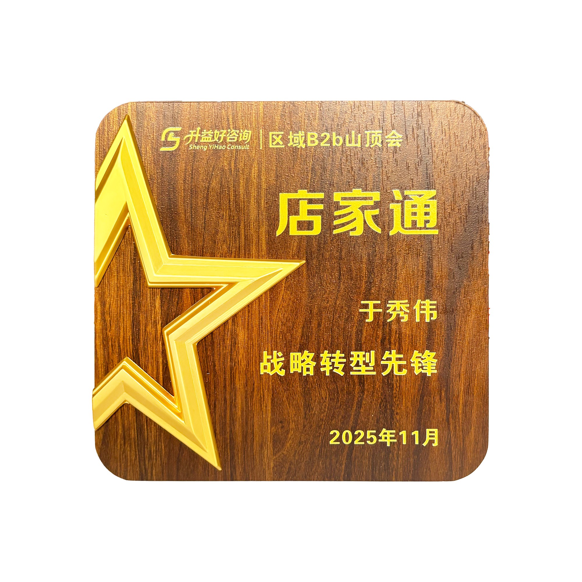 区域B2b山顶会店家通战略转型先锋奖杯